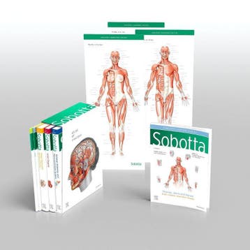 Sobotta Atlas of Anatomy Package 17th ed. Engl 9780702067648, Verzenden, Zo goed als nieuw