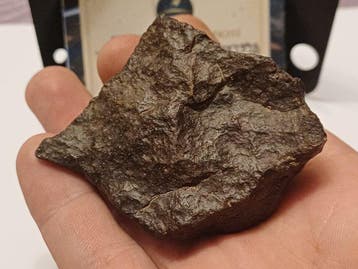 GEEN RESERVE!! Georiënteerde chondriet NWA 139.04G met, Verzamelen