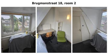 Te huur: Kamer Brugmanstraat in Eindhoven