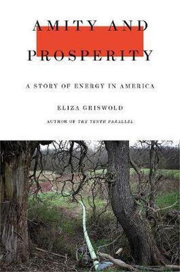 Amity and Prosperity - Eliza Griswold 9780374103118, Verzenden, Zo goed als nieuw, Eliza Griswold