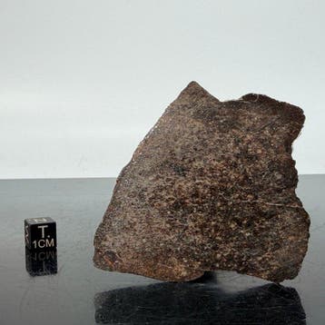 H7 Meteoriet - 50 g, Verzamelen, Mineralen en Fossielen