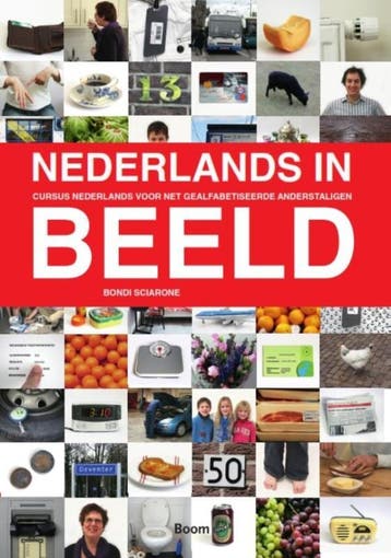 Nederlands in beeld - Bondi Sciarone 9789085067214, Boeken, Verzenden, Gelezen, Bondi Sciarone