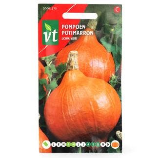 Pompoenzaad | VT (Hokkaido), Tuin en Terras, Bloembollen en Zaden, Verzenden