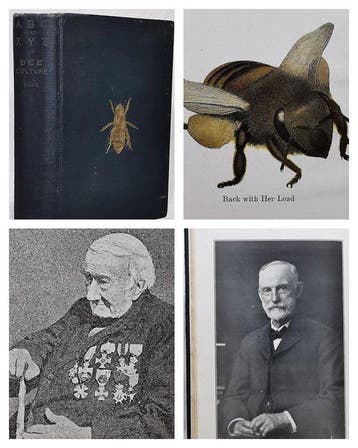 A.I and E.R Root - The ABC and XYZ of Bee Culture. A