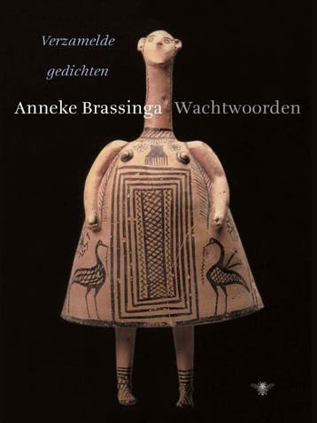 Wachtwoorden (Nieuw), Verzenden, Nieuw, Anneke Brassinga