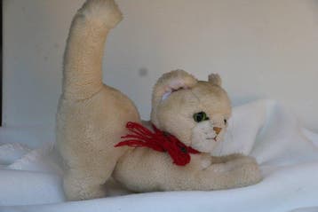 Steiff: Milla de Cosy kat, 1985, pluche - Teddybeer -
