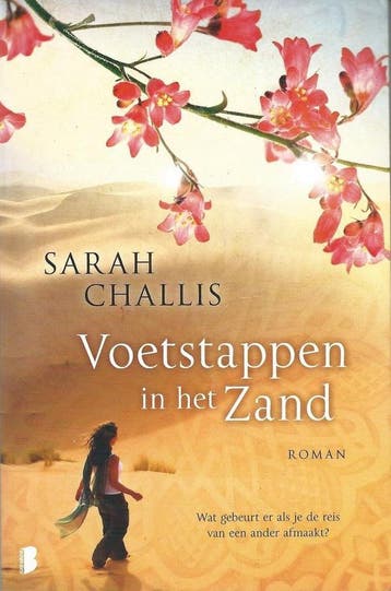 Voetstappen in het zand - Sarah Challis 9789022564134, Boeken, Verzenden, Gelezen, Sarah Challis