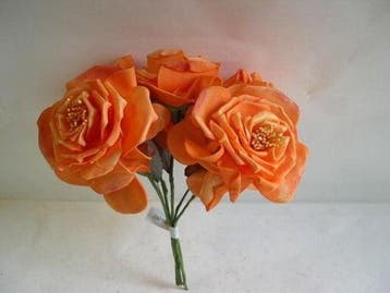 Wild Rose Oranje Foamroos Bundel 10 cm, Ophalen of Verzenden, Nieuw