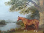 Collins (XX) - Cheval, Antiek en Kunst, Kunst | Schilderijen | Klassiek