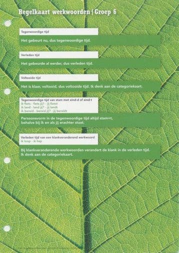 STaal Regelkaart Werkwoorden groep 6, Boeken, Verzenden, Nieuw
