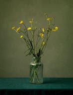 Tessa Posthuma de Boer - Buttercup