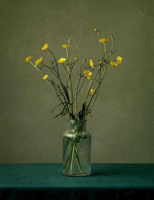 Tessa Posthuma de Boer - Buttercup, Antiek en Kunst, Kunst | Designobjecten