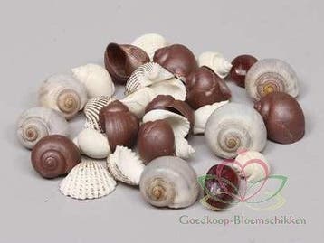 Schelpenmix Deluxe Donkerbruin 350 gram, Huis en Inrichting, Ophalen of Verzenden, Nieuw