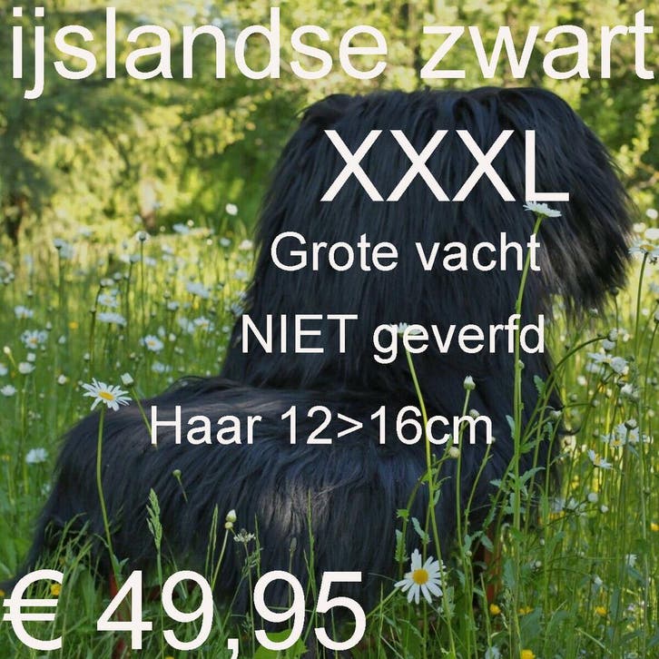 IJslandse ZWART ZWARTE Schapenvacht XXL Schapenvel € 49,95, Huis en Inrichting, Woonaccessoires | Overige, Nieuw, Ophalen of Verzenden