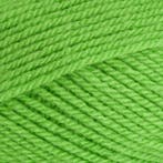 Stylecraft special DK 1821 grass green, Hobby en Vrije tijd, Breien en Haken, Ophalen of Verzenden, Nieuw, Breien of Haken, Wol of Garen