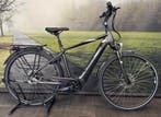 Pegasus Ravenna – Elektrische Herenfiets / Riem-aandrijving, Overige merken, Ophalen of Verzenden, Zo goed als nieuw, 47 tot 51 cm