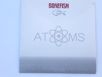 cd promo - Bonefish - Atoms, Verzenden, Zo goed als nieuw