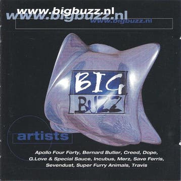cd - Various - www.bigbuzz.nl, Verzenden, Zo goed als nieuw