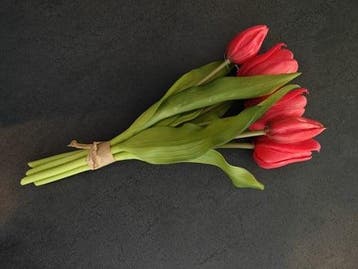 Tulpen Real Touch Rood Luxe Siliconen Latex Bundel 5 stuks, Huis en Inrichting, Woonaccessoires | Kunstplanten en Kunstbloemen