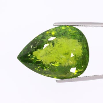 1 pcs Groen, Geel Toermalijn - 60.86 ct - Gemological, Nieuw