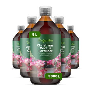 Kerstcactus Vloeibare meststof - 5x1 liter, Verzenden, Mest