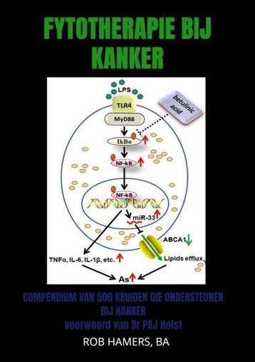 9789403615547 Fytotherapie bij Kanker Rob Hamers, BA, Boeken, Gezondheid, Dieet en Voeding, Verzenden, Nieuw, Rob Hamers, BA