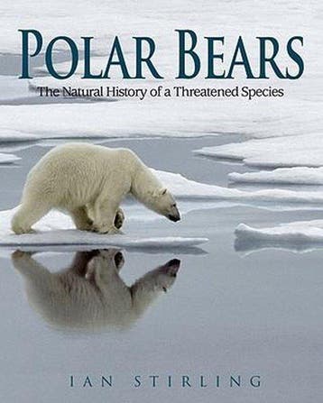 9781554551552 Polar Bears Ian Stirling, Verzenden, Nieuw, Ian Stirling
