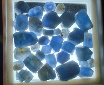 101,7 ct - Onbehandelde blauwe saffier - Ruw- 20.34 g, Verzamelen