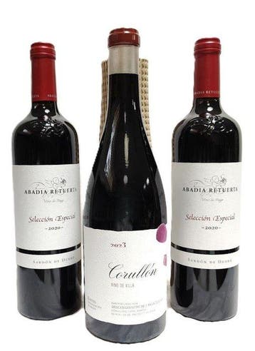 2023 Descendientes de José Palacios, Corullon, village wine, Nieuw