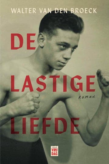 De lastige liefde - Walter Van den Broeck 9789464341652, Verzenden, Gelezen, Walter Van den Broeck