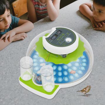 Automatische Broedmachine voor 60 Eieren met Temperatuurrege, Verzenden, Nieuw