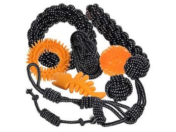Veiling - Hondenspeelgoed set - 10 stuks, Nieuw