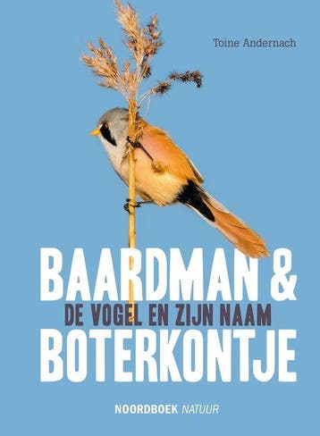 9789056156930 Baardman en boterkontje | Tweedehands, Verzenden, Zo goed als nieuw, Toine Andernach