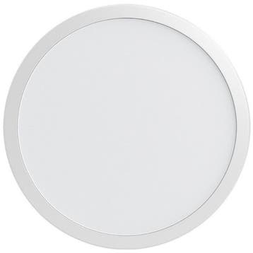 LED Spot MR16 - Brinton - 5W 430lm 110D - 865 Helder/Koud, Overige materialen, Nieuw, Overige fittingen, Ophalen of Verzenden