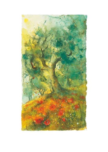 Kunstdruk Ulrich Hartig - Oliven und Mohn 50x70cm, Verzenden, Nieuw