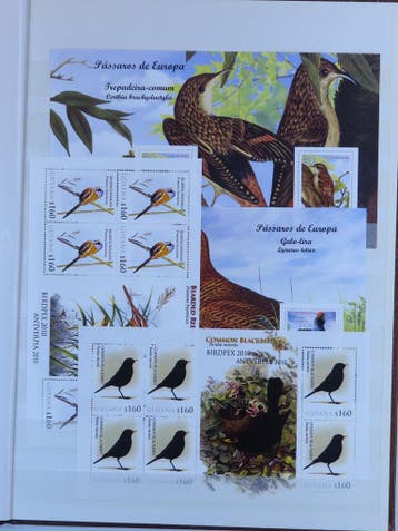 Vogels mooi moderne persoonlijke uitgiftes, Ophalen of Verzenden