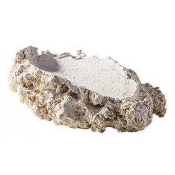 ARKA Tridacna Holder L, Ophalen of Verzenden, Nieuw