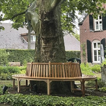 Boombank 260 cm teak, Ophalen of Verzenden, Nieuw