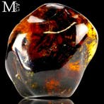 Chiapas fossiel amber – monster met iriserende kleuren -, Verzamelen