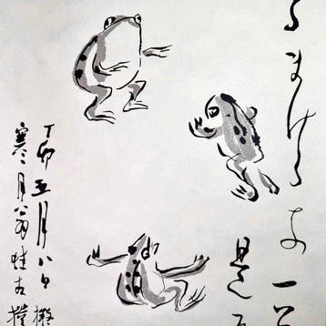 Yaichi Aizu  – Frog Sumo Wrestling  – Officiële