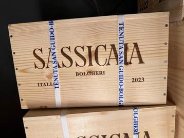 2023 Tenuta San Guido Sassicaia - Bolgheri - 6 Flessen (0.75, Nieuw