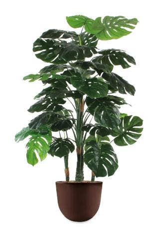 Monstera kunstplant, H145cm, Huis en Inrichting, Ophalen of Verzenden, Overige soorten, 100 tot 150 cm