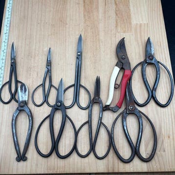 Japanese Bonsai & Ikebana Shears Set CA440 Wabi Sabi Japan -
