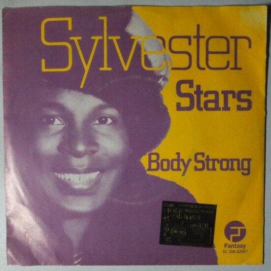 Sylvester - Stars - Single, Cd's en Dvd's, Vinyl Singles, Verzenden