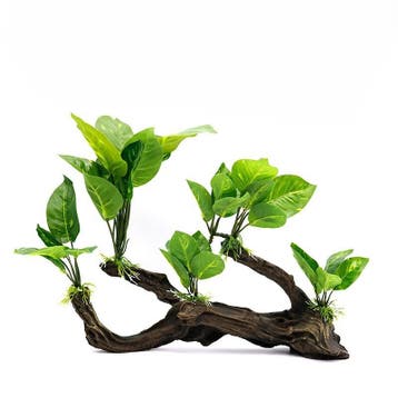 Kunstplanten op houtstuk / Aquarium decoratie As-225, Verzenden, Nieuw, Plant(en), Steen of Hout