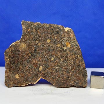 -Honderden chondriolen!- Verbijsterende TYPE LL3 CHONDRITE
