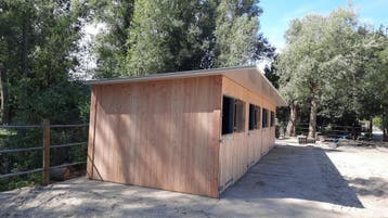4 stallen lessenaarsdak !, 4 paarden of pony's of meer
