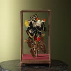 Vlinders in Vitrine Taxidermie Opgezette Dieren By Max, Ophalen of Verzenden, Nieuw, Insect, Opgezet dier