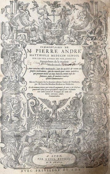 Pietro Andrea Mattioli - Commentaires De M. Pierre André
