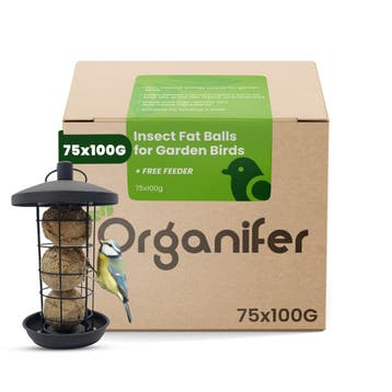 Insectenvetbollen voor Tuinvogels – 75 stuks x 100 g met, Dieren en Toebehoren, Verzenden